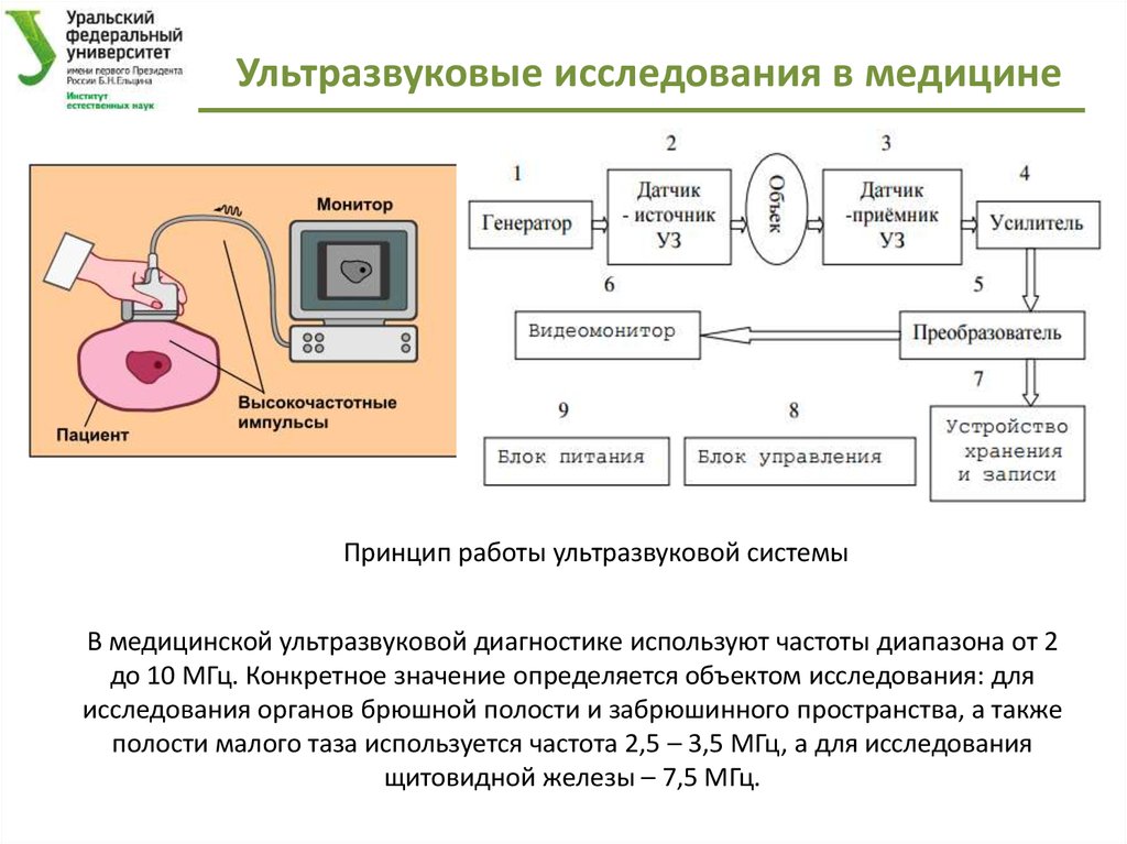 Функциональная схема узи аппарата