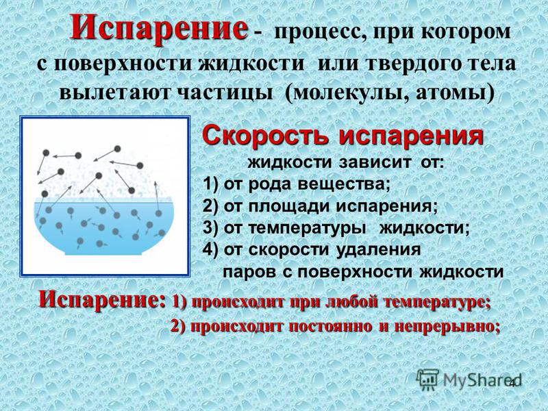 Как в скайриме из злокрыса превратиться обратно