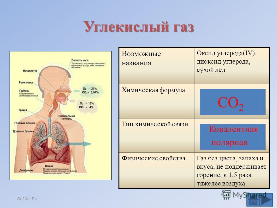 Схема образования углекислого газа