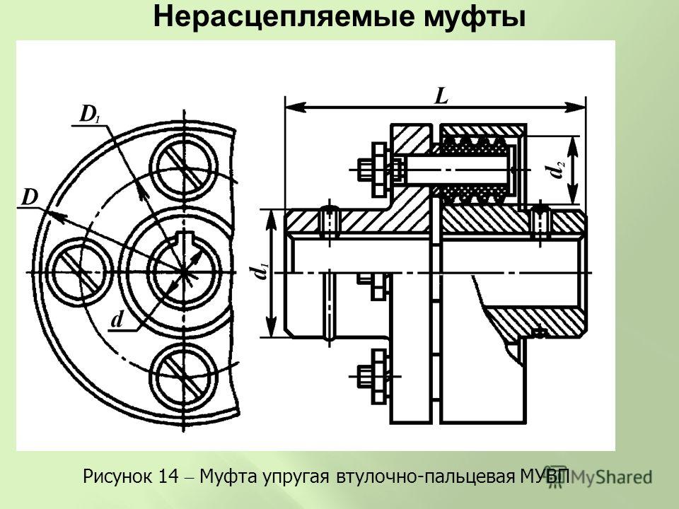 Муфта втулочно пальцевая эскиз