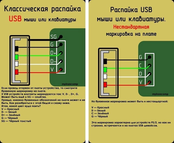 Включи план пинк