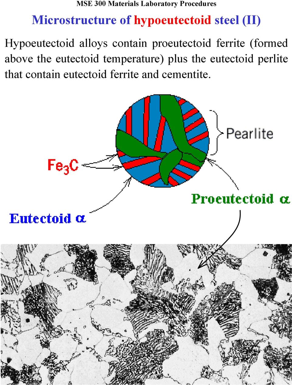 temperature) plus the eutectoid perlite that contain eutectoid