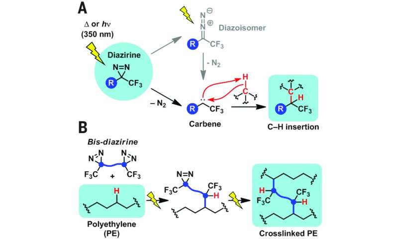 A bis-diazirine strategy for polymer cross-linking. (A) Mechanism of carbene formation from the light- or heat-promoted decomposition of diazirines, followed by C–H insertion. hν, ultraviolet light. (B) Cross-linking of nonfunctionalized polymers through double C–H insertion of bis-diazirines. Credit: <i>Science</i> (2019). DOI: 10.1126/science.aay6230 A new kind of glue to bond polyethylene