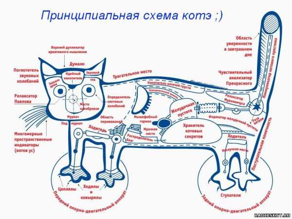 Предложение по схеме п а п