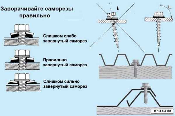 Как правильно крепить металлопрофиль на крыше саморезами фото