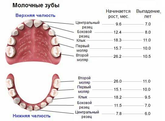 Сколько зубьев у шестерни