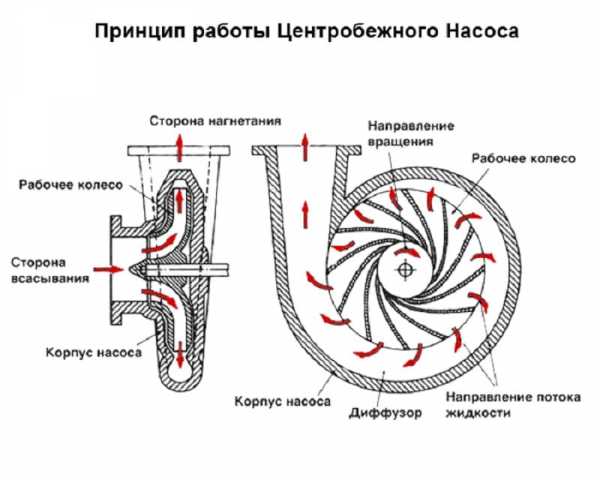 Центробежный насос схема в разрезе