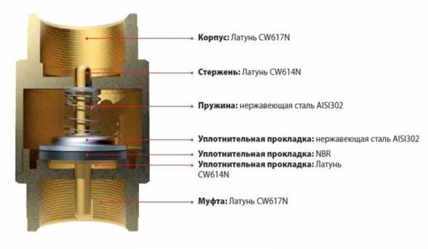 Двухстворчатый клапан расположен между