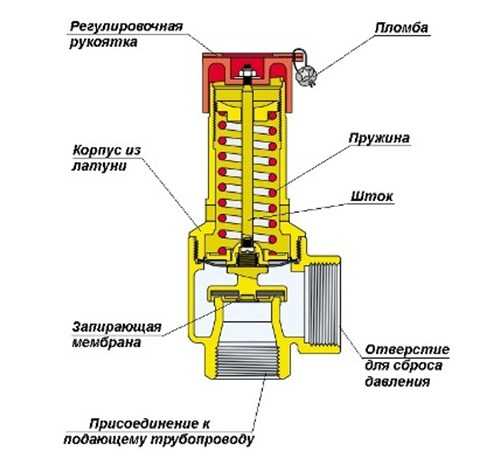 Где расположен двухстворчатый клапан