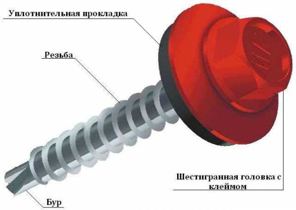 Правильное крепление профнастила на крыше саморезами фото