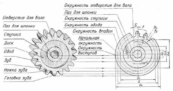 Шестерня и колесо разница