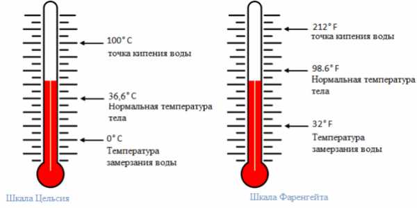 Шкала измерений фото