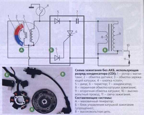 Принцип работы двигателя бензопилы