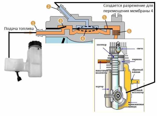 Принцип работы двигателя бензопилы